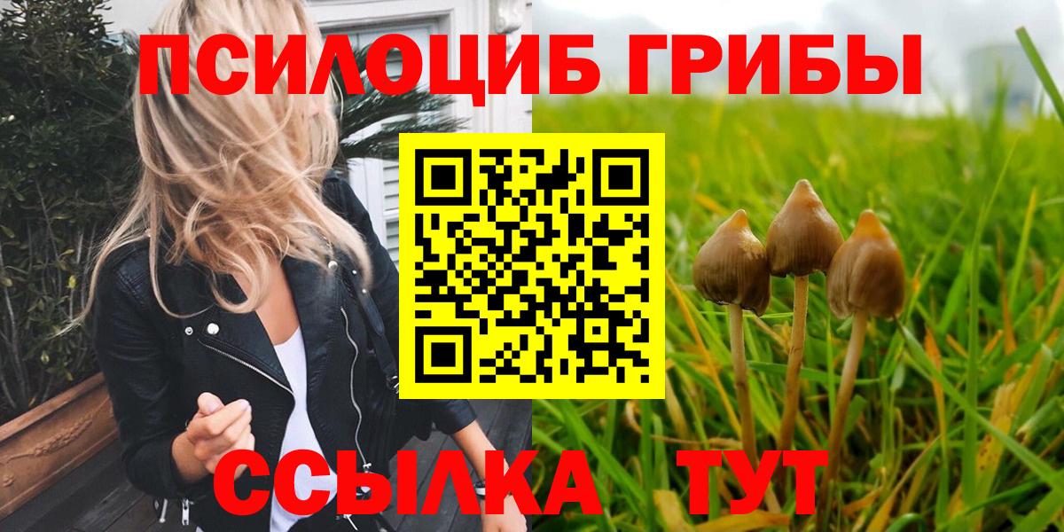 Псилоцибиновые грибы Psilocybe  Галлюциногенные грибы Psilocybe  закладка  Вход с VPN  Сосновый Бор 